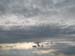 Loire River