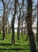 Loire River